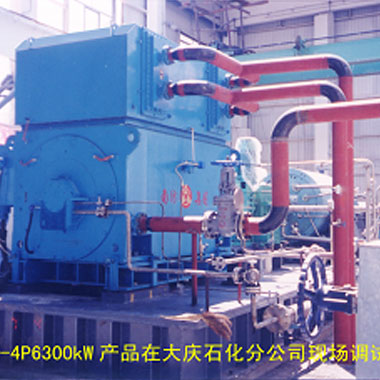 大慶石化（2006年 ，YAKS710-4P，1臺(tái)）